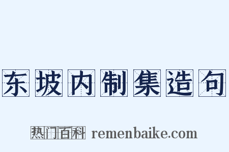 东坡内制集造句是什么意思的图片